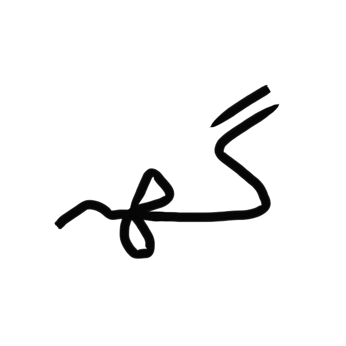Ar11.4_nas-sd