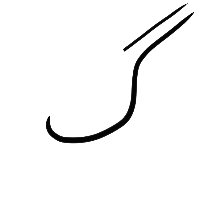 Ar11a_ntq-fa