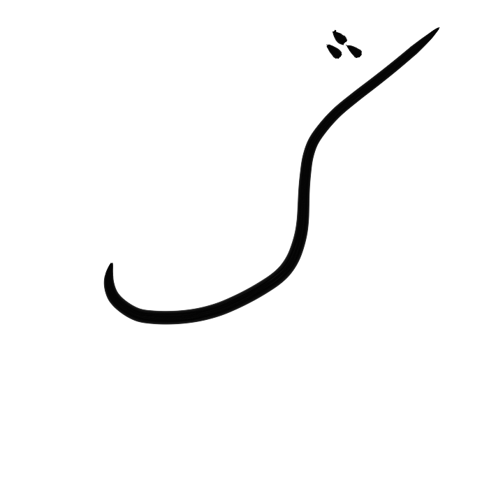 Ar11b_ntq-tr
