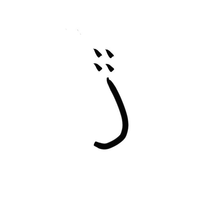 Ar21.1_nas-sd