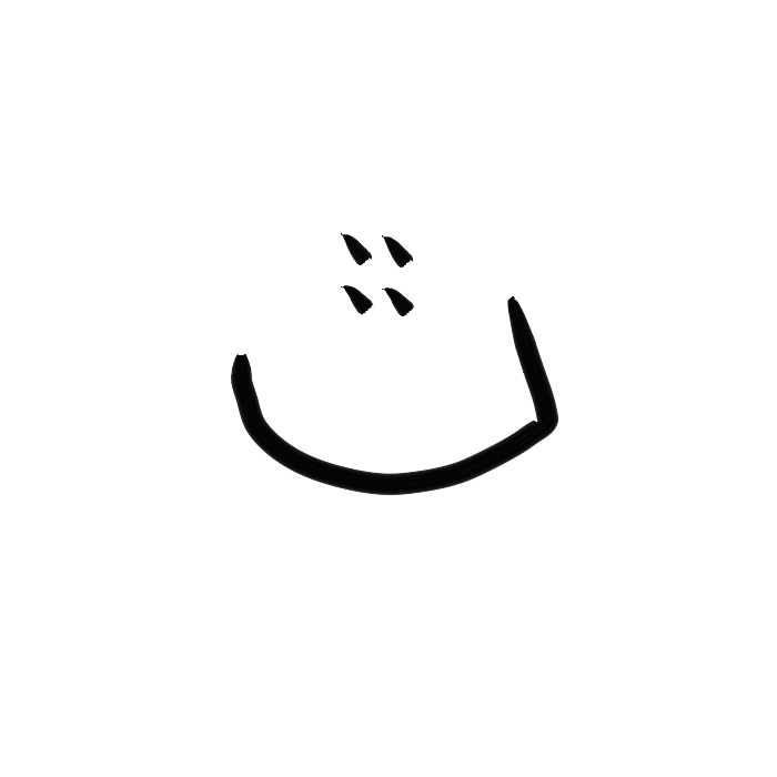 Ar24.2_nas-sd