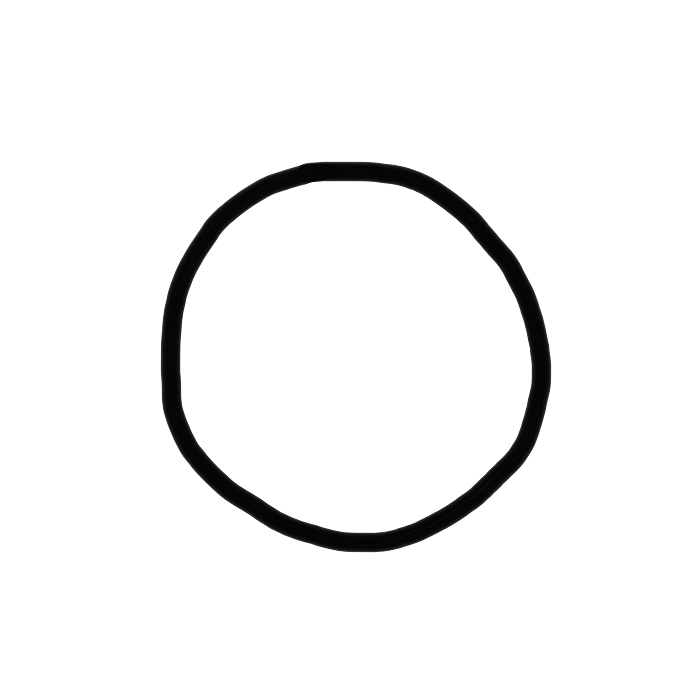 CG16