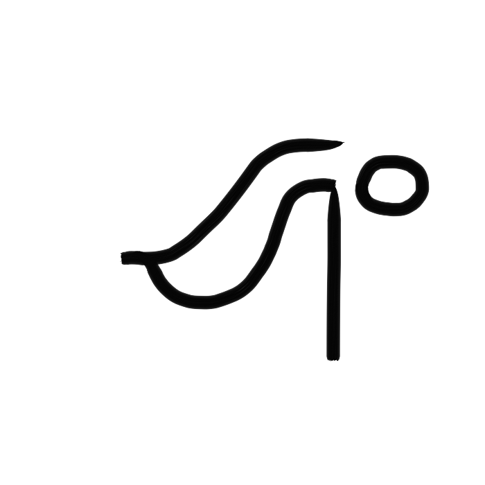 Vag_12p
